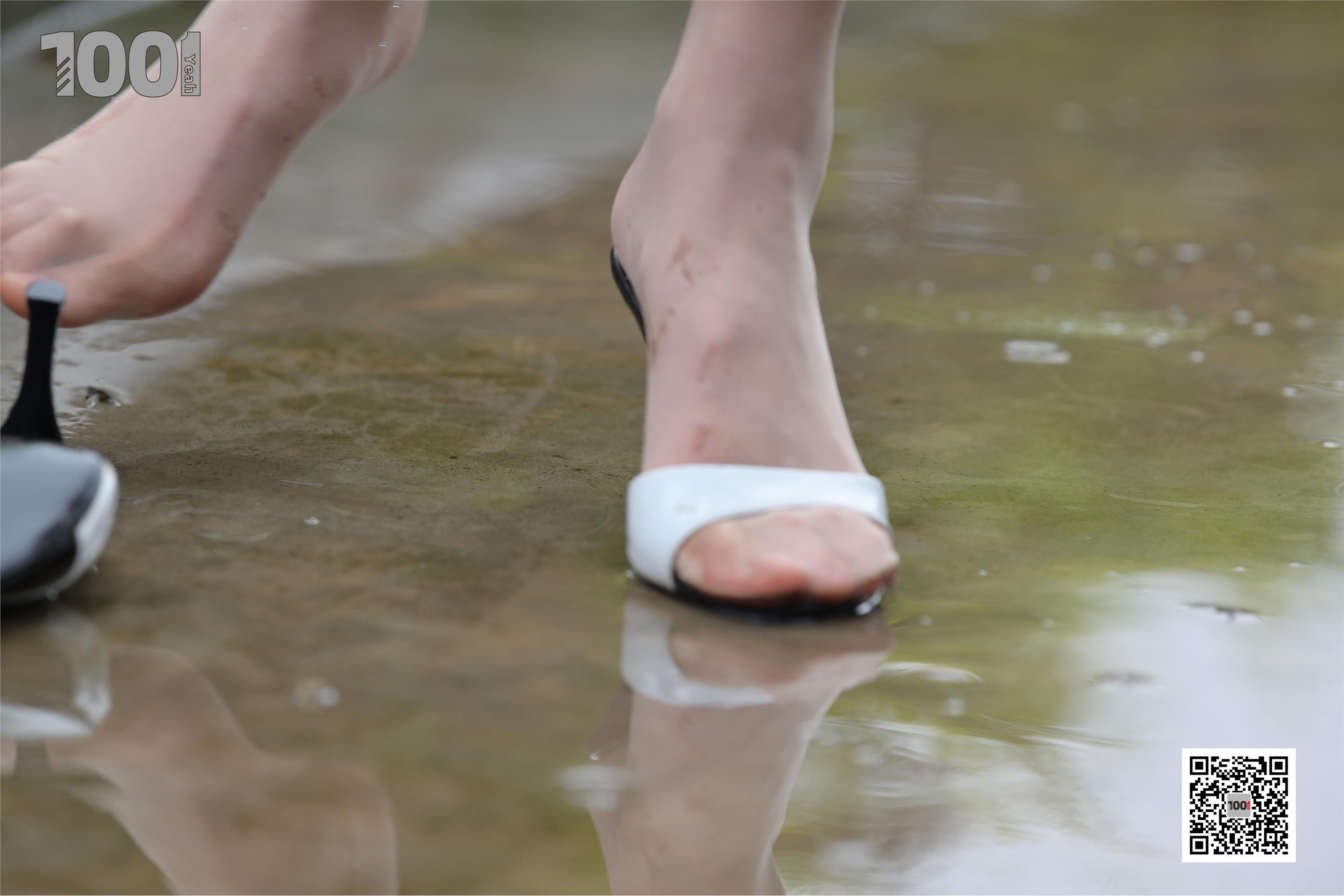 IESS异思趣向  一千零一夜《雨中漫步2》